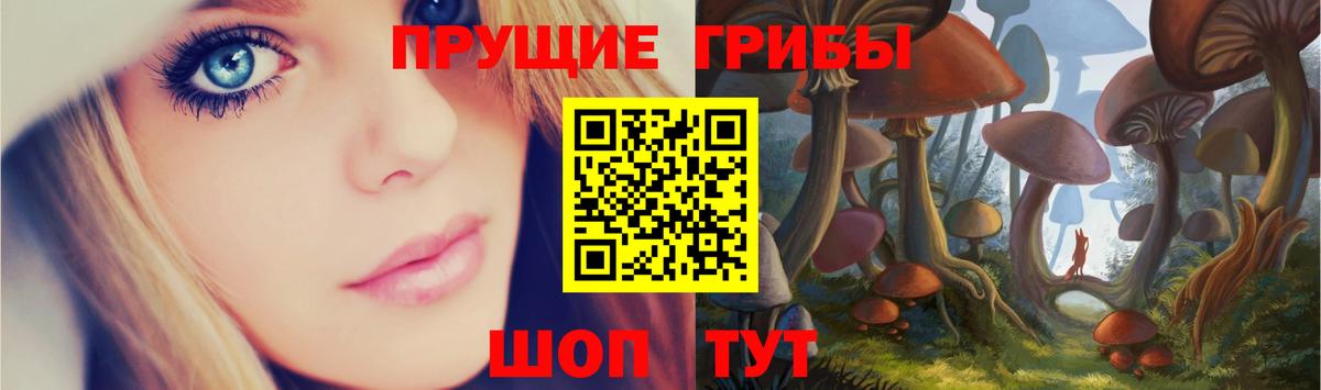 Псилоцибиновые грибы Psilocybe  Псилоцибиновые грибы мухоморы  купить наркотики цена  Вход с VPN  Ессентуки 